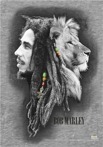 Bob Marley Profiles Flag