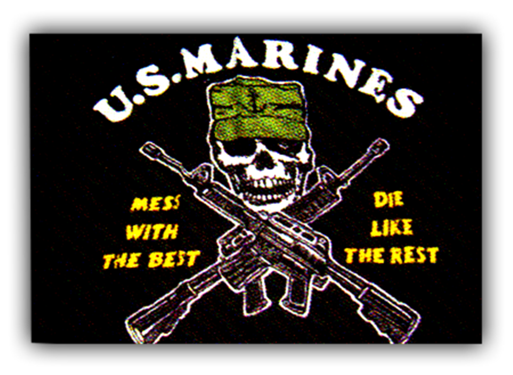 U.S. MARINES MESS WITH THE BEST FLAG