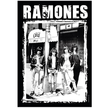 Ramones CBGB Photo Flag