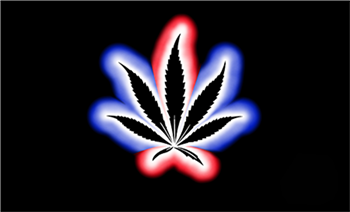  WEED GLOW FLAG