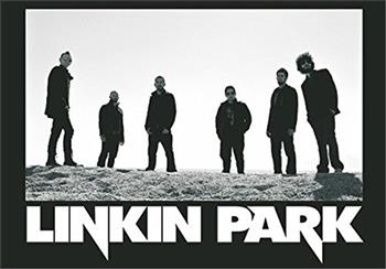 Linkin Park On Sand Flag