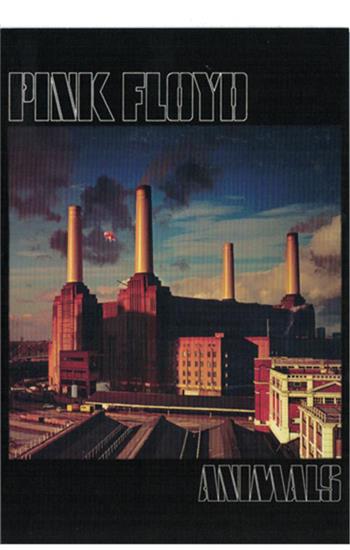 Pink Floyd Animals Postcard