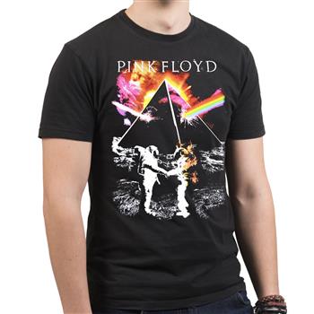 Pink Floyd Astronauts