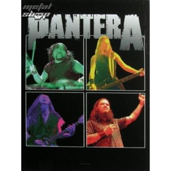 Pantera Band Frames Flag