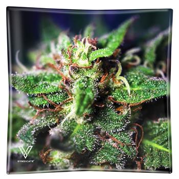  BLUE DREAM TEMPERED GLASS ASHTRAY