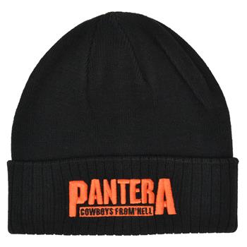 Pantera Cowboys From Hell (3D Embroidered) Beanie