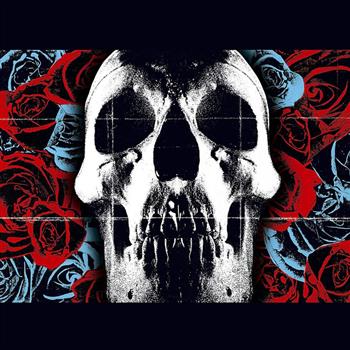 Deftones Deftones Vinyl