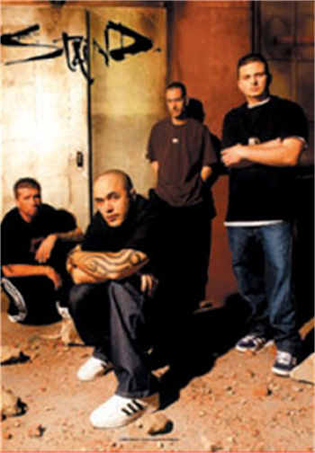 Staind Dirt Flag