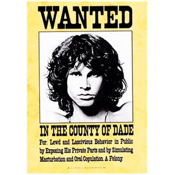 Doors (the) Wanted