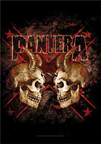 Pantera Double Skull Flag