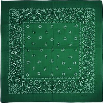 Generic Green Paisley Bandana