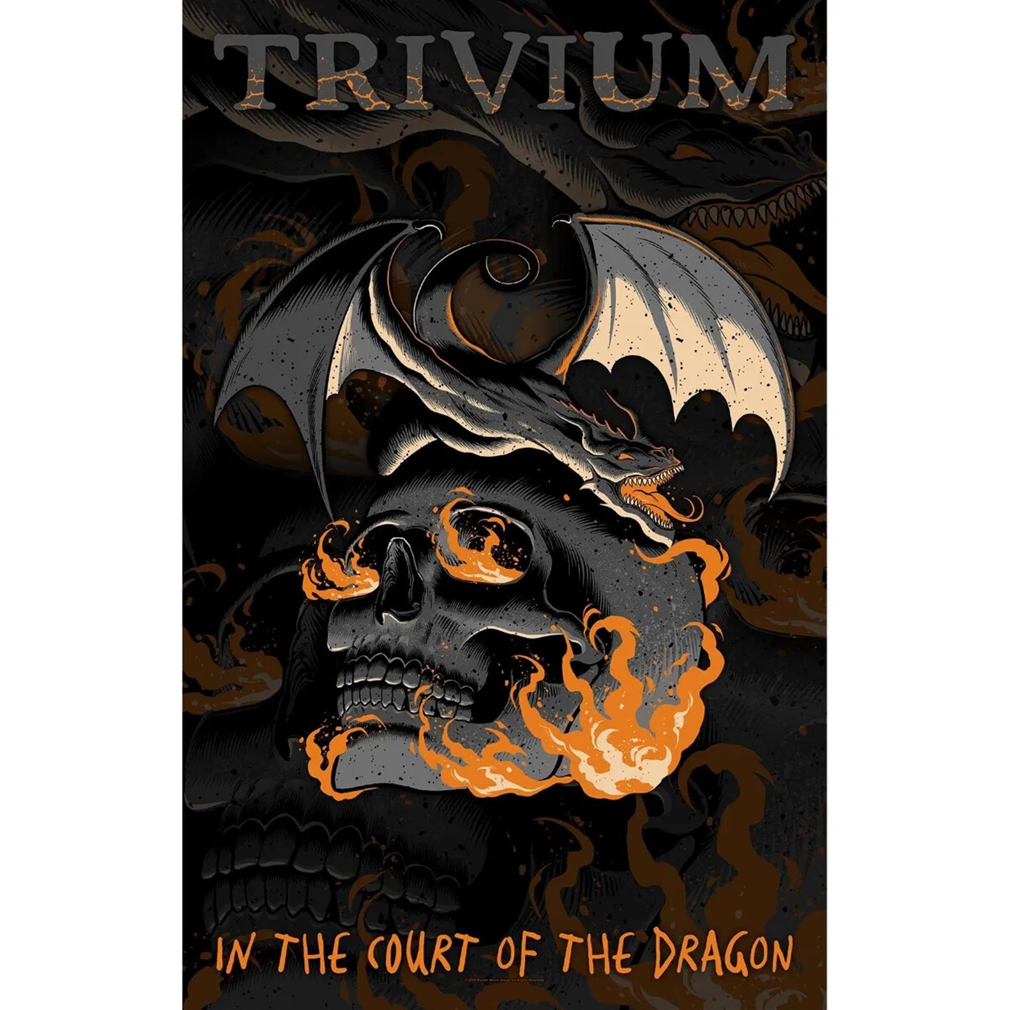 In the Court of the Dragon Premium Flag