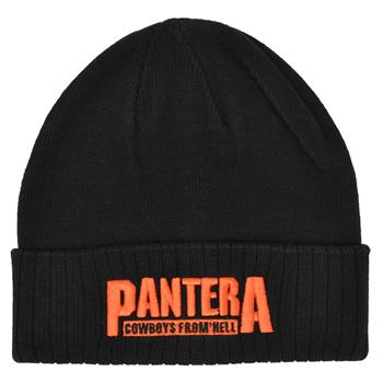 Pantera Cowboys From Hell (3D Embroidered) Beanie