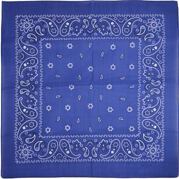 Generic Blue Paisley Bandana