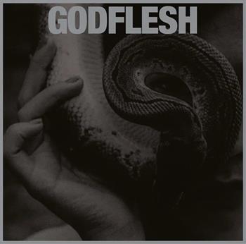 Godflesh Purge Vinyl