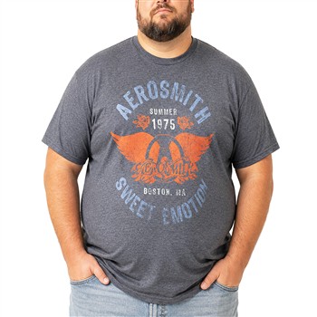 Aerosmith Sweet Emotion T-Shirt