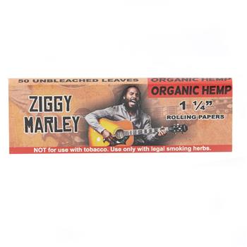 Bob Marley ZIGGY MARLEY