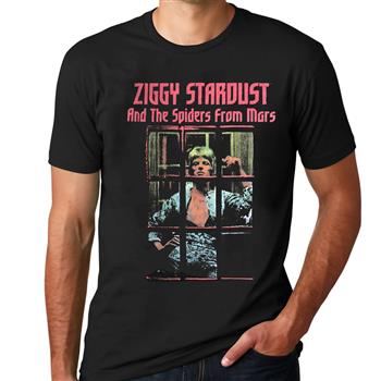 David Bowie Ziggy Stardust and the Spiders from Mars T-Shirt